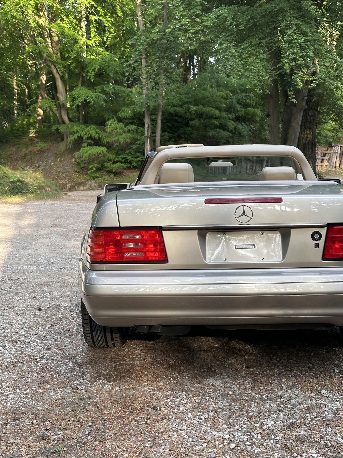 MERCEDES SL R129 (nude)​ 6