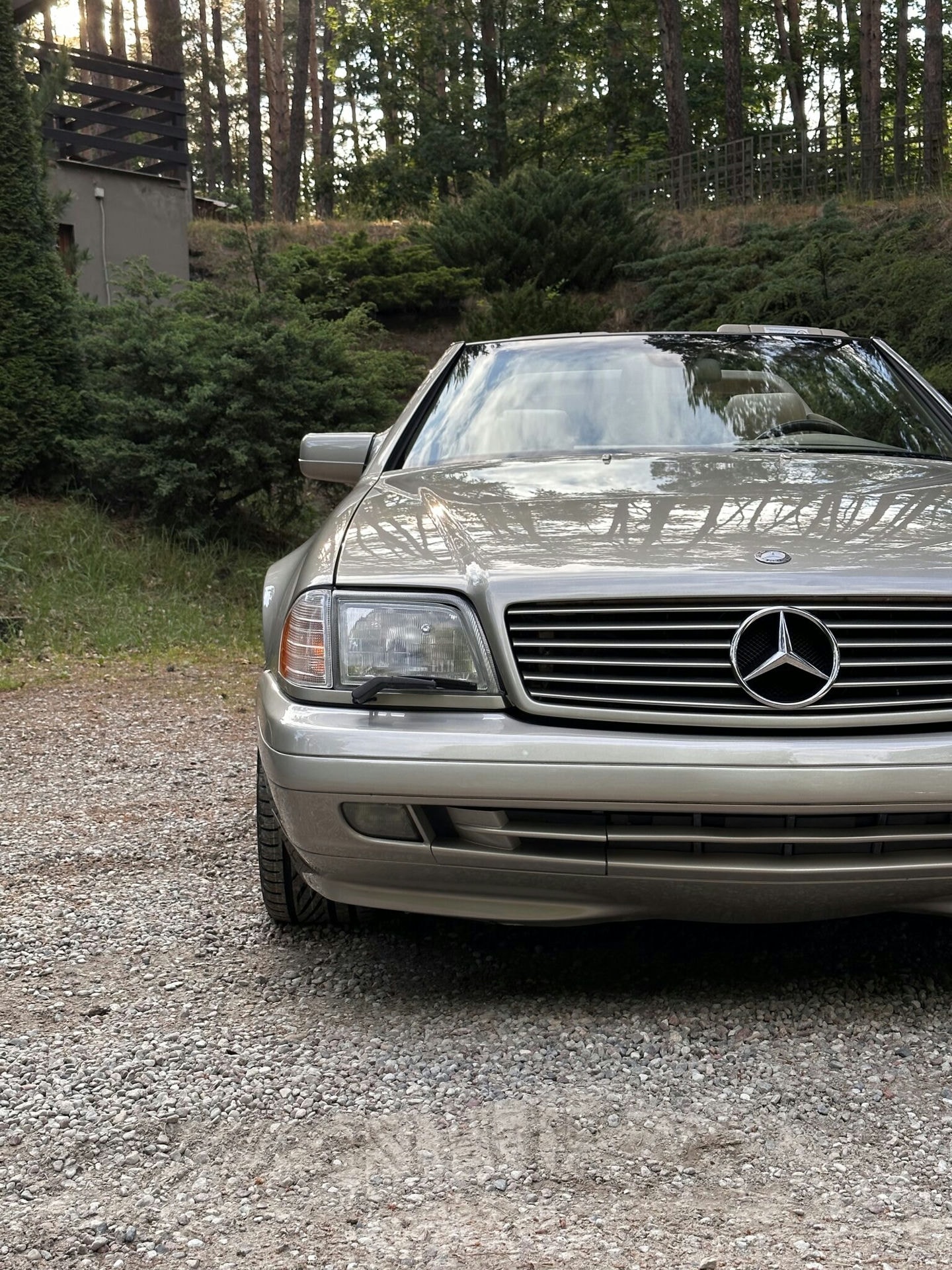 MERCEDES SL R129 (nude)​ 9