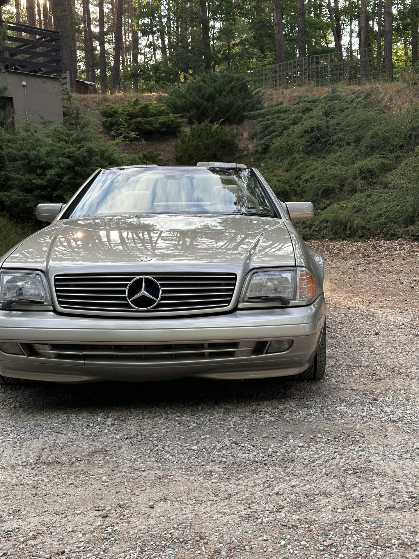 MERCEDES SL R129 (nude)​ 11