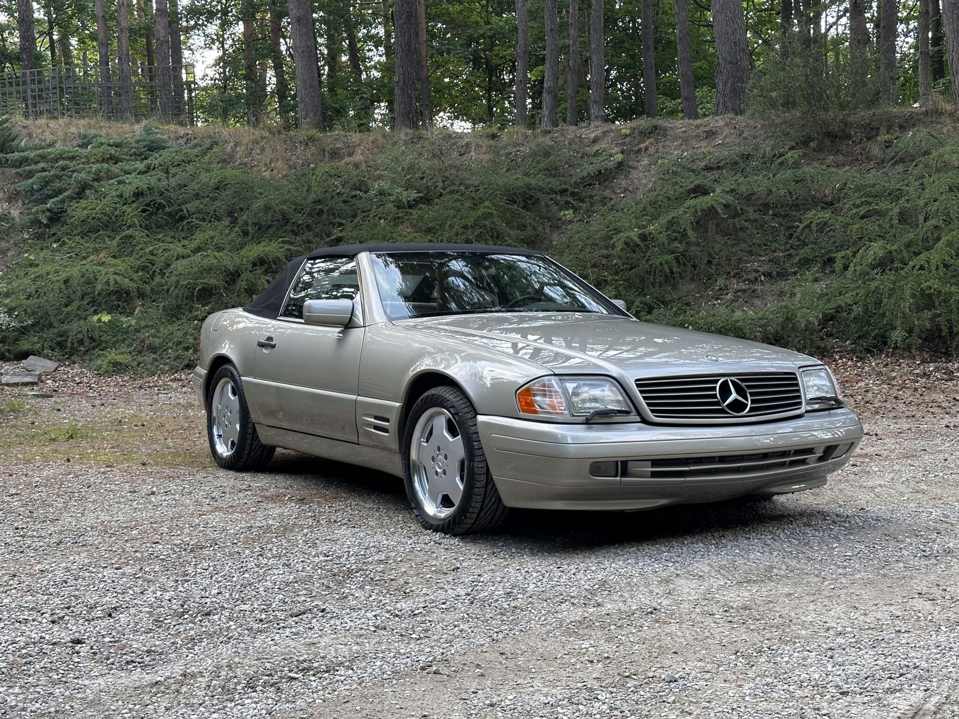 MERCEDES SL R129 (nude)​ 20